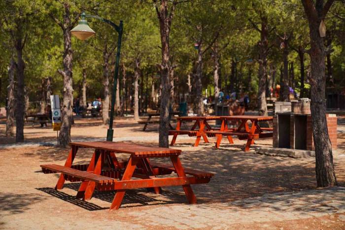 Ayvalık’ta Mesire Alanındaki Ahşap Oturma Grupları Yenileniyor