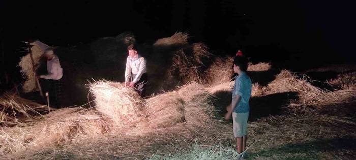 Batman’da Kavurucu Sıcaklar Nedeniyle Çiftçiler Gece Çalışıyor