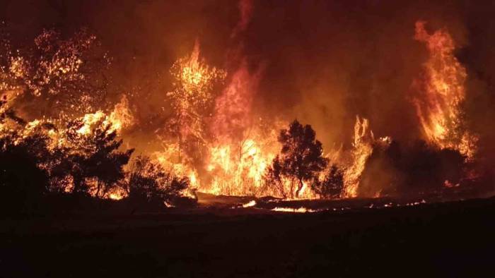 Çanakkale Ruhuyla Mücadele Ettiler, Yangını 48 Saat Dolmadan Kontrol Altına Aldılar