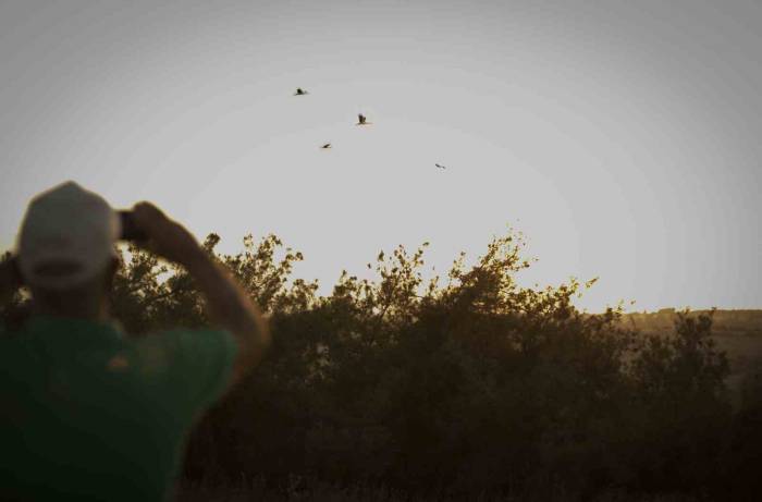 Göçmen Kuşlar, Mersin’den Afrika’ya Uğurlandı