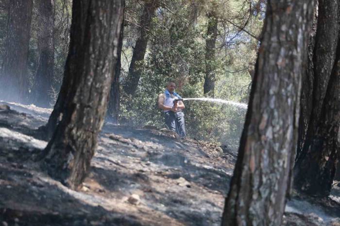 Kahramanmaraş’taki Orman Yangını Kontrol Altına Alındı