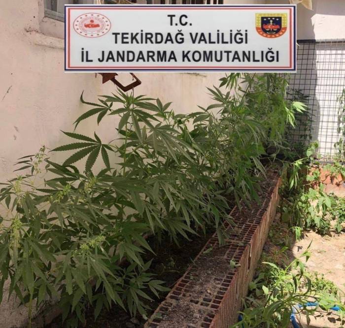 Tekirdağ’da Uyuşturucu Operasyonu