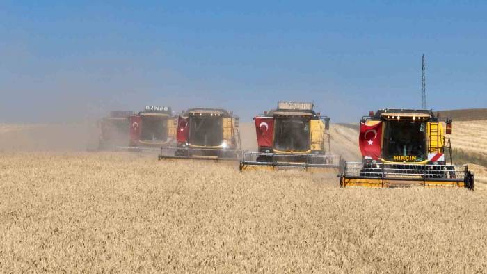 Sivas’ta Tritikale Üretiminde Rekor Kırıldı