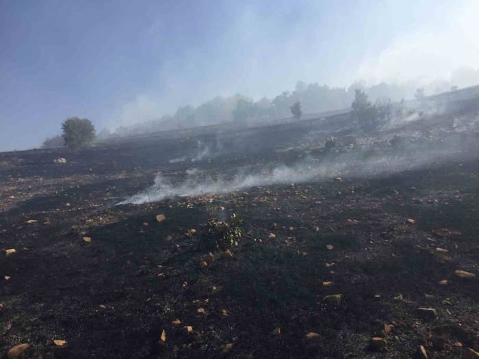 Ergani’deki Örtü Yangını 10 Saat Sonra Kontrol Altına Alındı