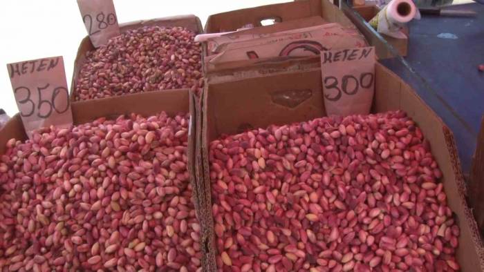 Fıstık Fiyatları Cep Yakıyor