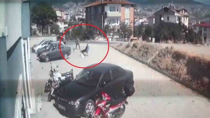 Sokak Köpeklerinin Saldırdığı Çocuk Babası Sayesinde Kurtuldu