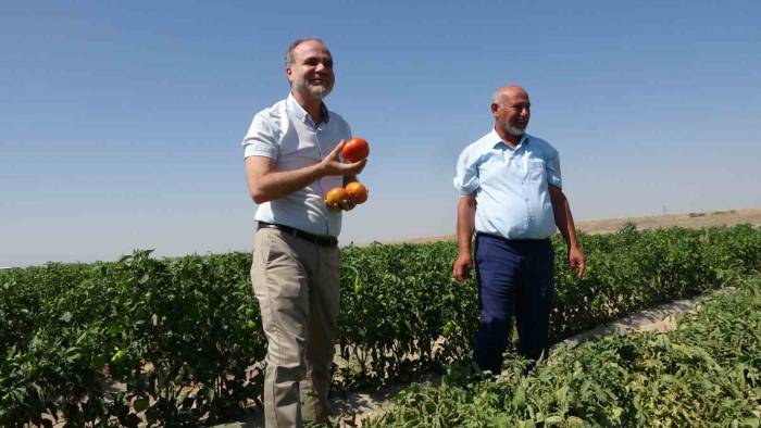 Besi Çiftliği Değil Üniversite