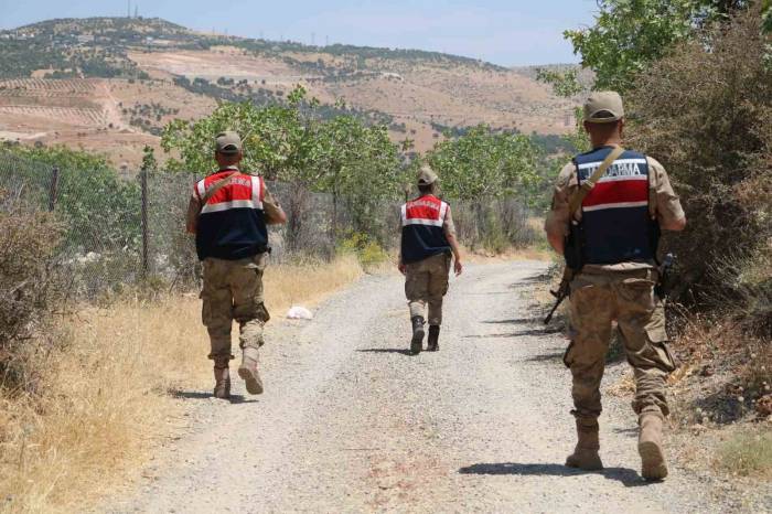 Siirt Fıstığı Hırsızlığına Karşı Karadan Ve Havadan Denetleniyor