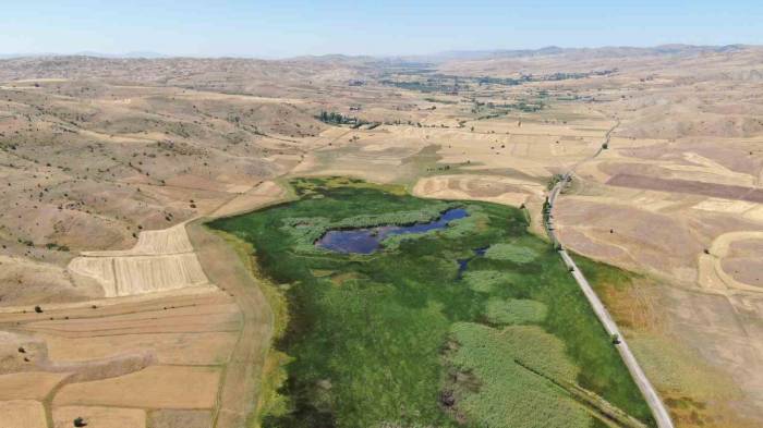 Koruma Altındaki Doğa Harikası Göl Yeniden Maden Tehdidi Altında
