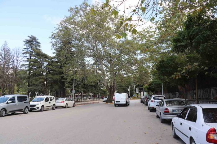 Yolun Ortasında Kaldı, Tokatlıların Buluşma Noktası Oldu