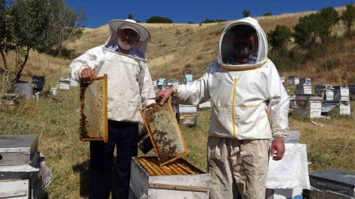 Yozgat’ta ‘Tatlı’ Telaş Bir Ay Geç Başladı