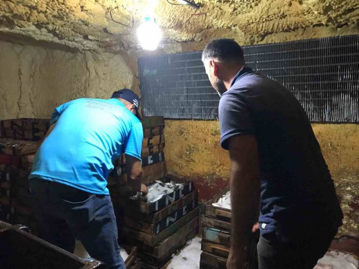 Didim’de Su Ürünleri Denetimi Yapıldı