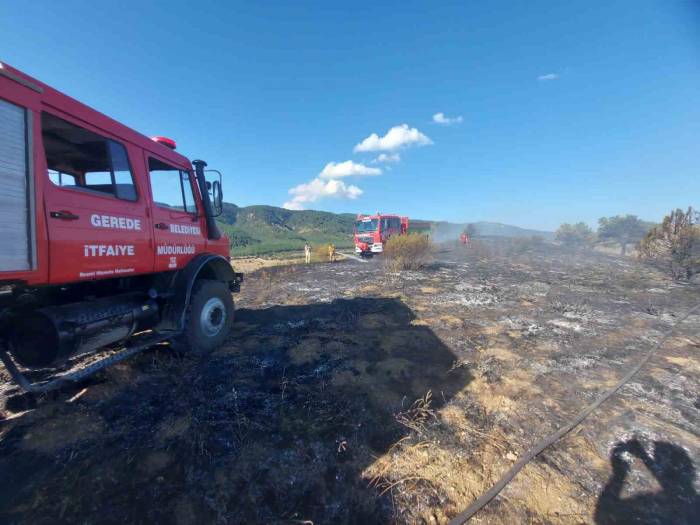 5 Dönümlük Otluk Arazi Küle Döndü