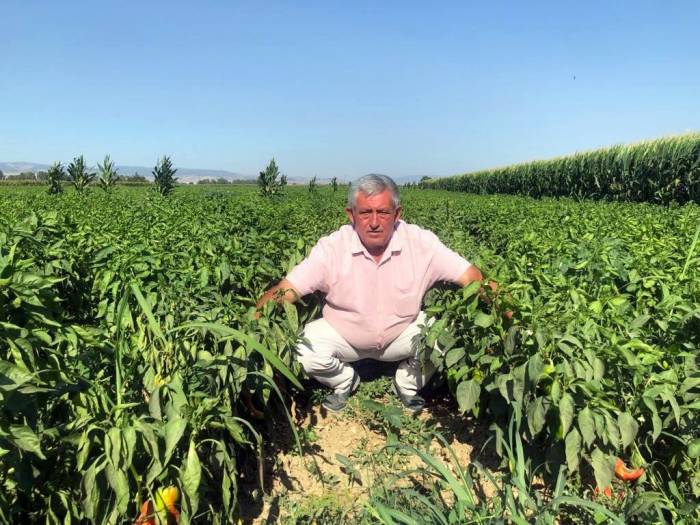 Tarlada 5 Liraya Pazarda 35 Lira