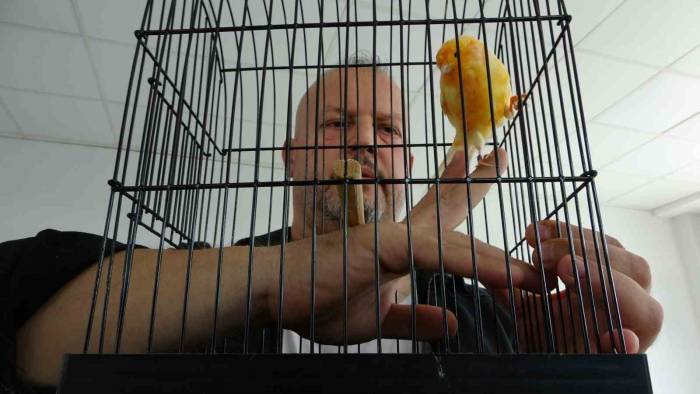 Molozların Arasından Kurtardığı Kanaryalarıyla Hayata Tutundu