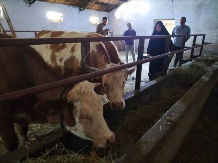 Kırsal ’uzman Eller’ İle Kalkınıyor