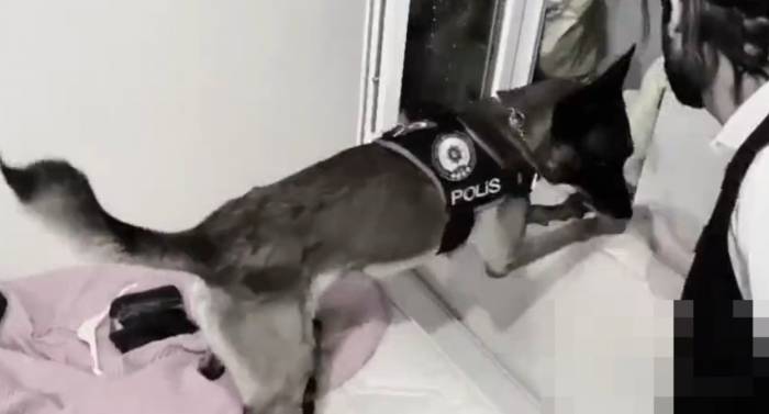Şanlıurfa’da Narkotik Köpeği Uyuşturucuya Geçit Vermedi