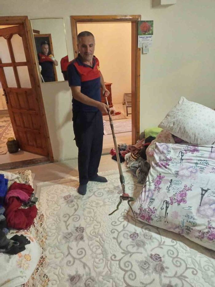 Ağrı’da Evine Yılan Giren Aile İtfaiyeye Sığındı