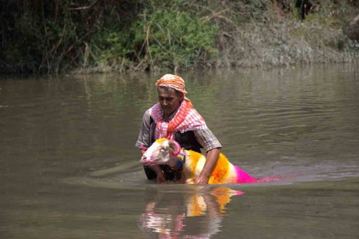 Sudan Koyun Geçirme Yarışması Renkli Görüntülere Sahne Oldu