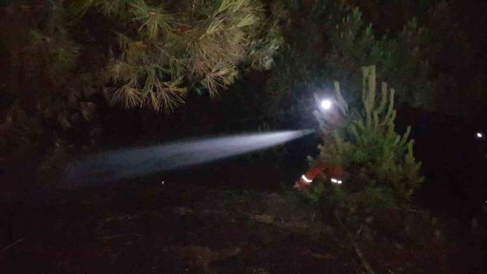 Karabük’te Korkutan Örtü Yangını