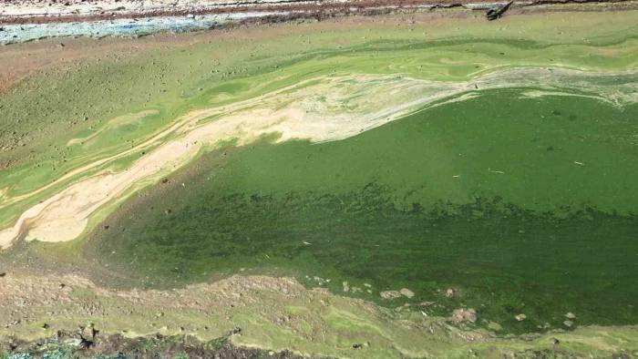 Kars’ta Rengi Yeşile Dönen Göl Etrafa Pis Koku Yayıyor
