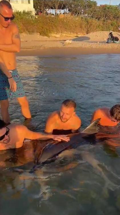 Denizin İçinde 8 Saat Yunus Nöbeti