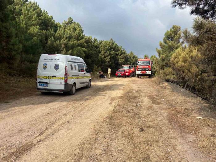 Maltepe’de Çıkan Orman Yangınında Hasarın Boyutu Gün Ağarınca Ortaya Çıktı
