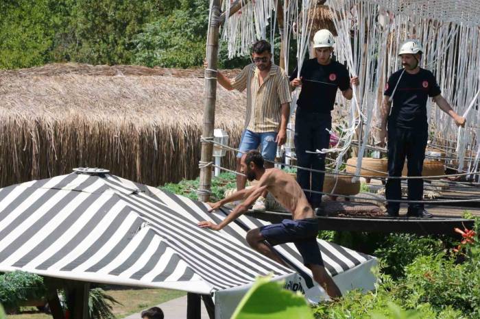 Antalya’da ‘Tarzan’ Adam Alarmı: Demirlere Tırmandı, Polislerden Kaçıp Şemsiyenin Üzerine Çıktı