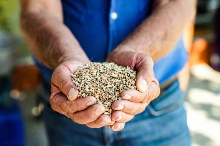 En Lezzetli Şenlik Seferihisar’da