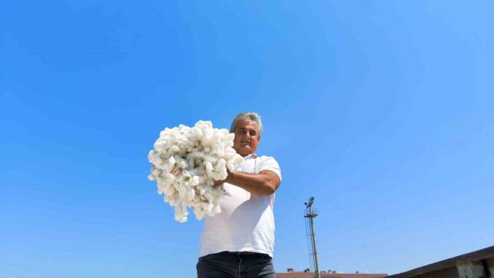 Aydın’da 420 Kiloluk Beyaz Altın, Kooperatife Teslim Edildi