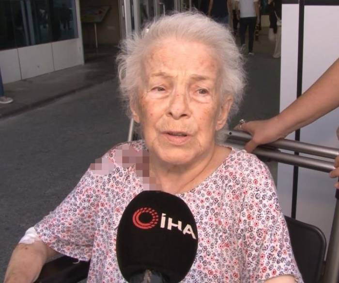 İstanbul’da Maymun Dehşeti