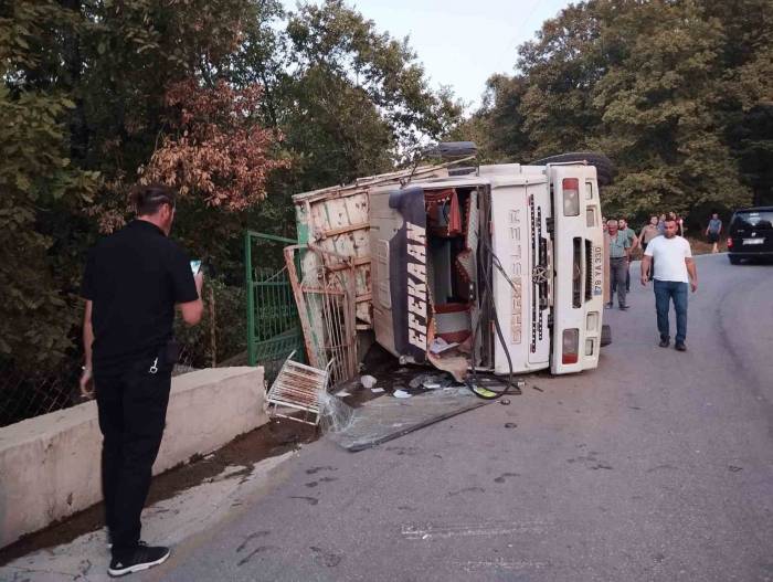 Tomruk Yüklü Kamyon Devrildi, Sürücü Yaralandı