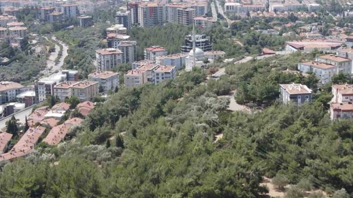 İzmir’de Bir Mahalle Orman Yangını Korkusuyla Yaşıyor