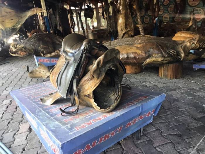 Araştırmacı Yazar İhsan Aktaş Türkiye Deniz Canlıları Müzesi’ni Ziyaret Etti