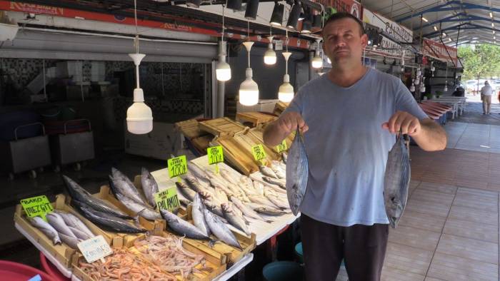 Bu Yıl Hamsi Ve Çinekop Bol Olacak