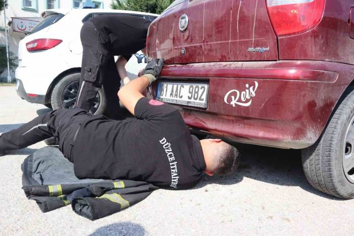 Egzoza Sıkışan Kedi Kurtarıldı