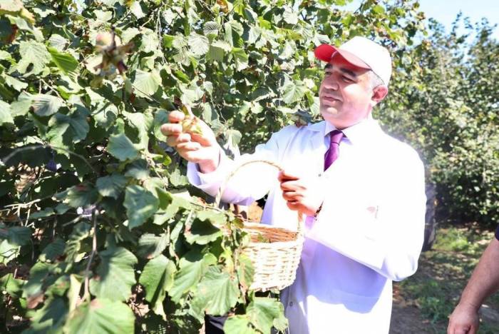 632 Bin Hektar Alanda Üretimi Yapılıyor