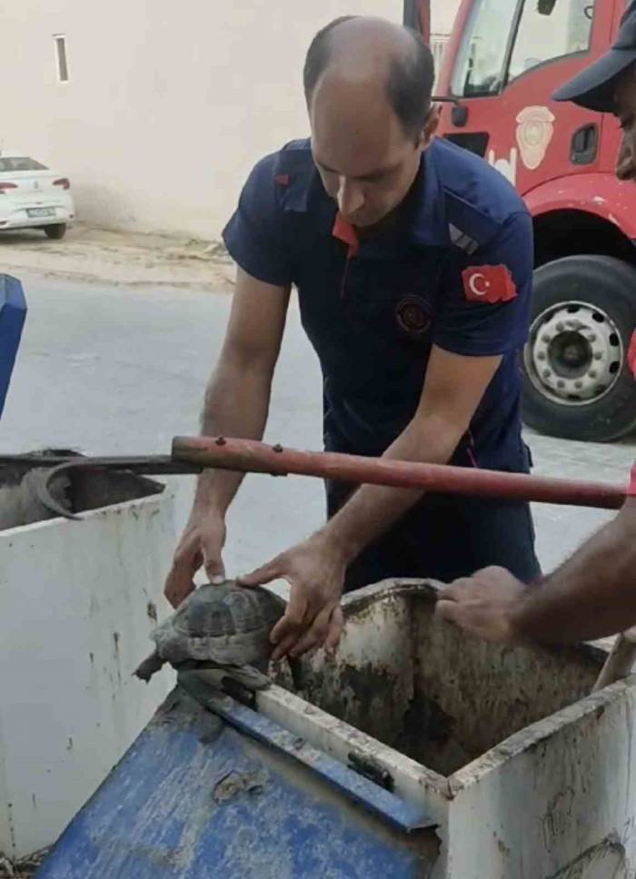 Yeraltı Çöp Konteynerine Atılan Kaplumbağayı İtfaiye Ekipleri Kurtardı