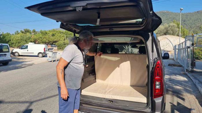 Kedi Camı Kafasıyla Kırıp Kaçtı