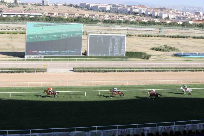 Başkanlık Koşusu’nun Kazananı Taylolo Oldu