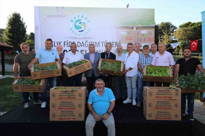 Beykozlu Çiftçiye 1 Milyon Fide Desteği