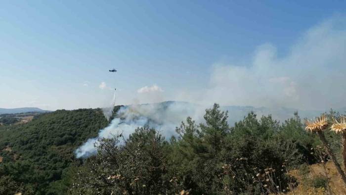 Çan’daki Orman Yangını Kontrol Altına Alındı