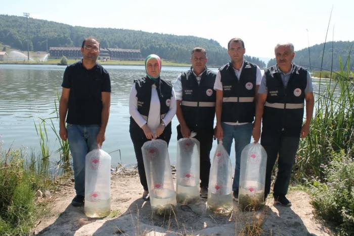 Göllere 35 Bin Yavru Balık Bırakıldı