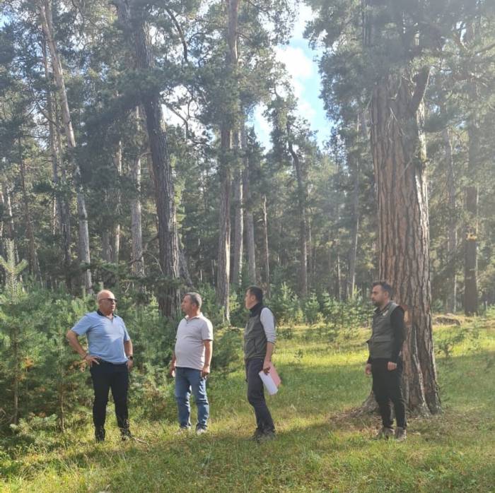 Ayatay; Orman Varlığı Bakımla Büyür