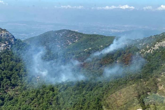 İzmir’deki Orman Yangını Kısmen Kontrol Altında