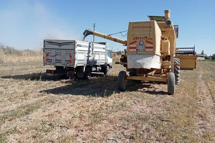 Akşehir Belediyesi Atıl Arazilerde Tarıma Başladı