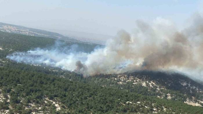 Kütahya’da Orman Yangını