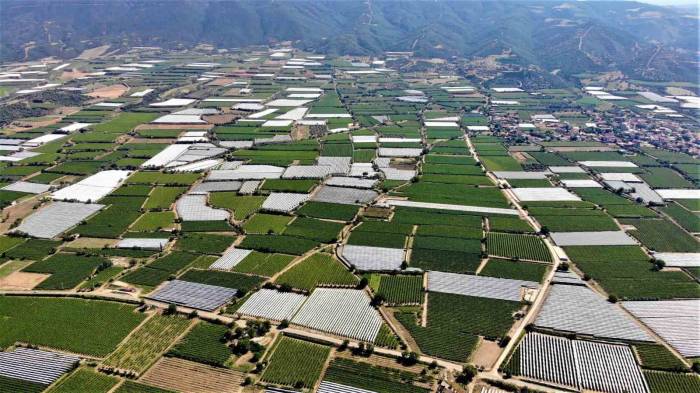 Sarıgöl Ovası Beyaza Büründü