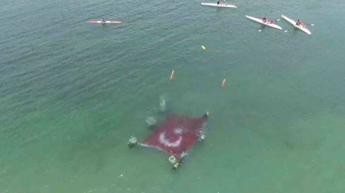 Van Gölü Derinliklerinde Zafer Bayramı Kutlaması