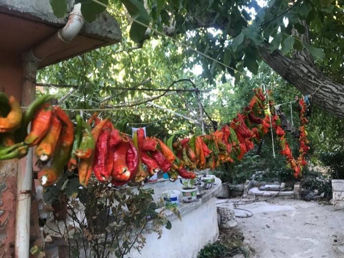 Kışlıklar Hazırlanıyor